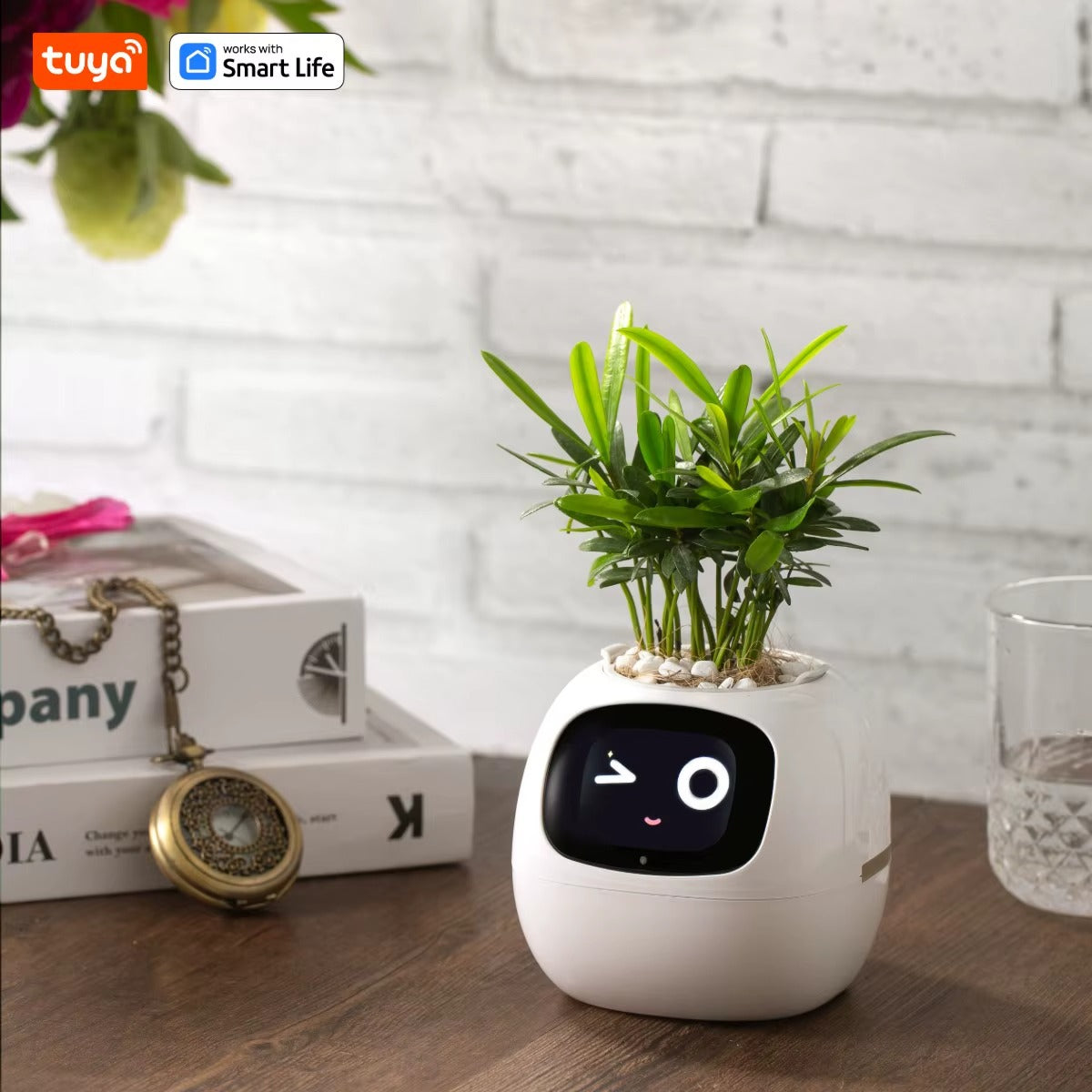 Maceta Inteligente Ivy Tuya G1 – La Mascota Digital que Cuida tus Plantas con IA, 7 Sensores de Precisión y más de 49 Expresiones Animadas